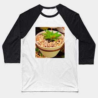 Green succulent in white pot with white stones. Baseball T-Shirt